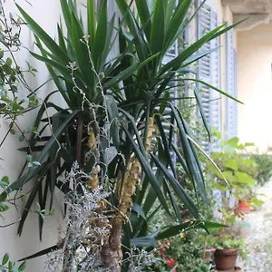 Dimora Boezio7, Cozy And Charming Place In Center With Private Parking Casa vacanze